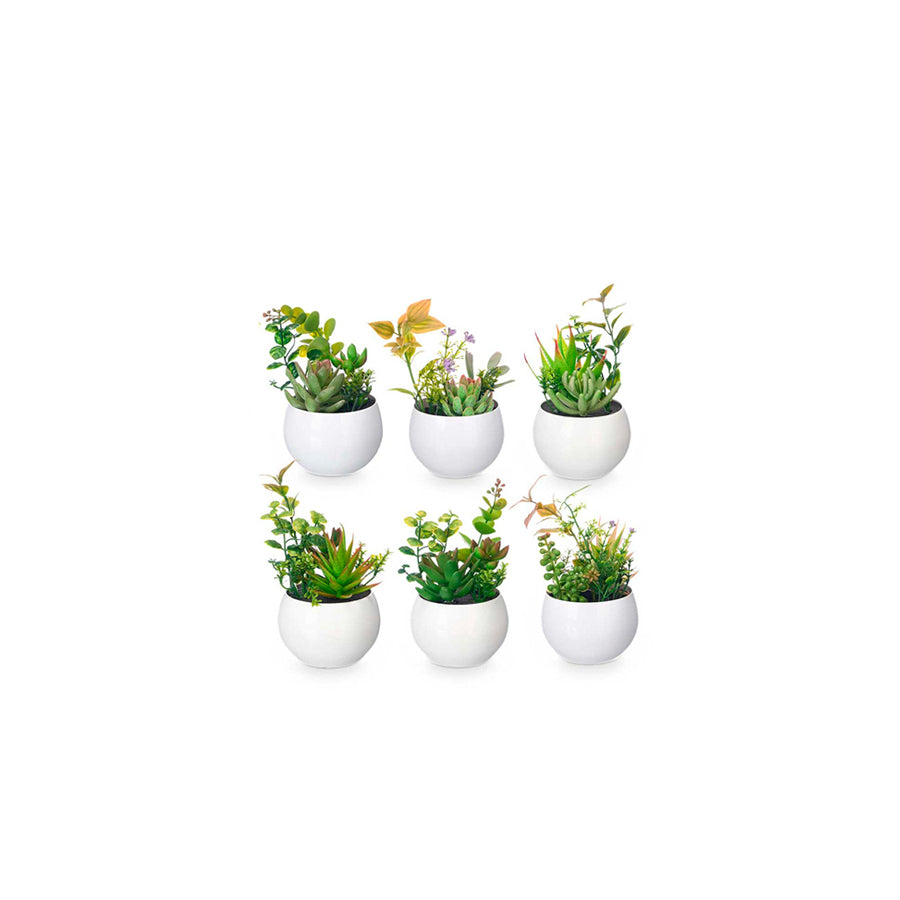 Vaso Redondo Branco com Planta 16 cm