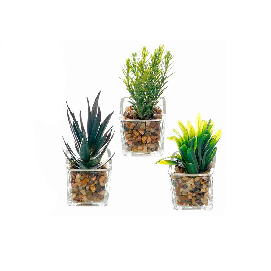 Vaso Artificial de Vidro com Planta