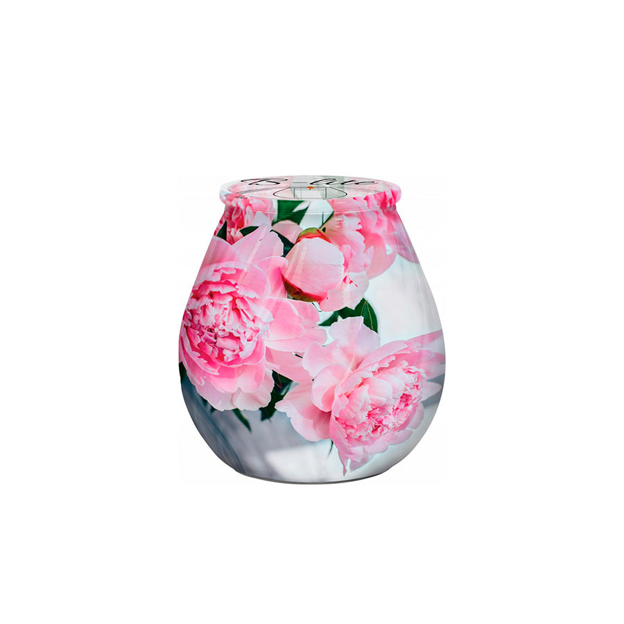 Vela Jardim Rosas 48 h