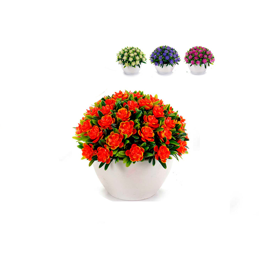 Planta com Flores Trevo