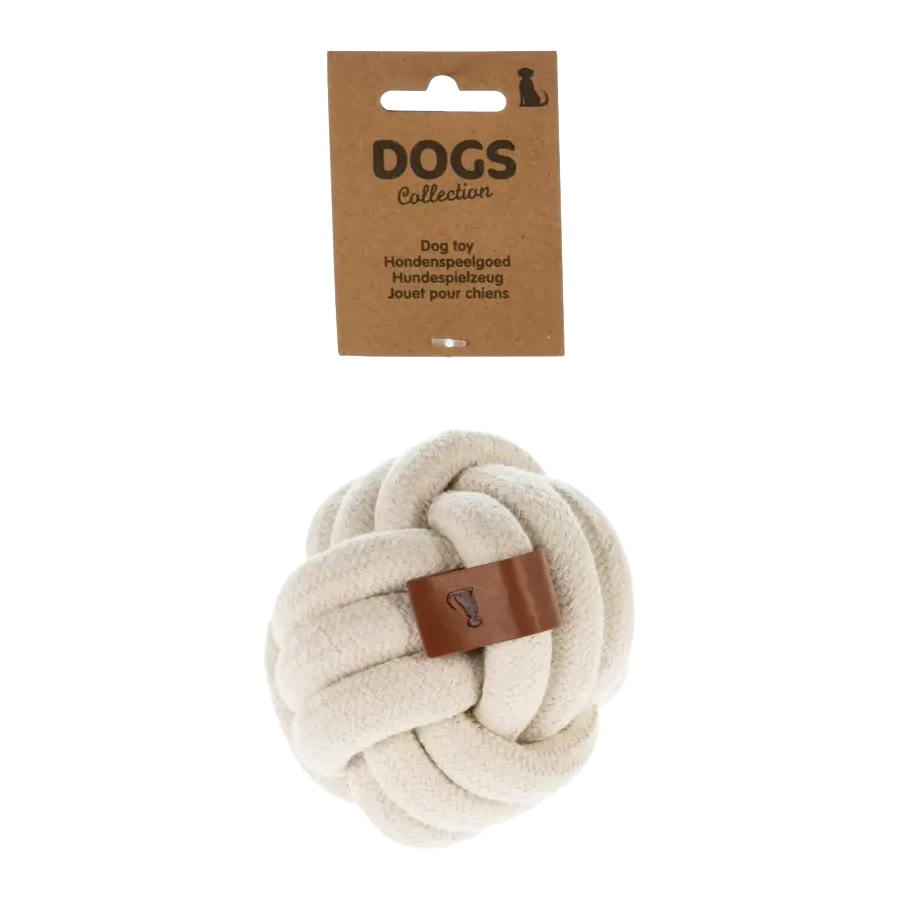 Brinquedo para Cão Bola Interativa